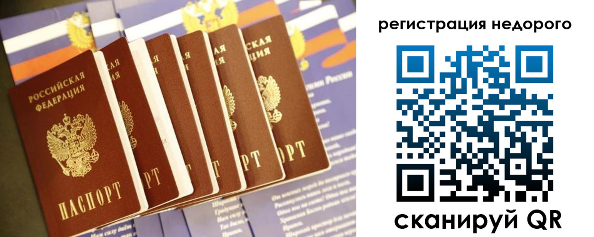 прописка гарантия в Новодвинске