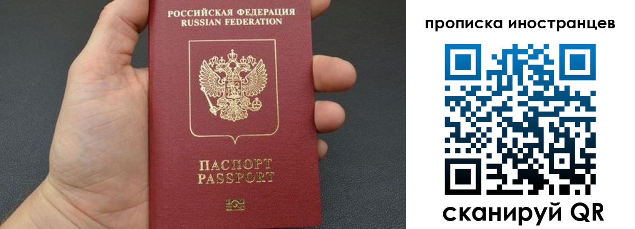 прописка ребенка в Новодвинске